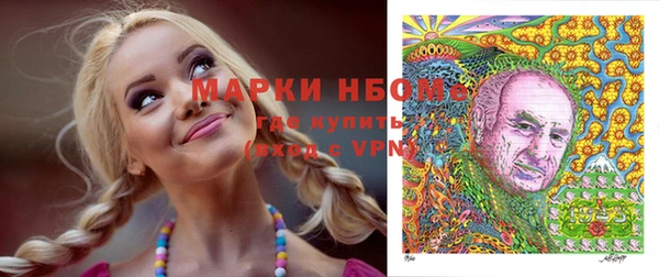 амф Кулебаки