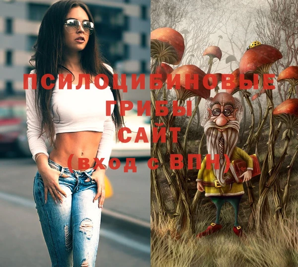 первитин Горнозаводск