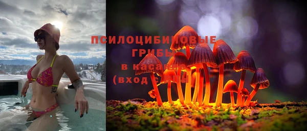 первитин Горняк